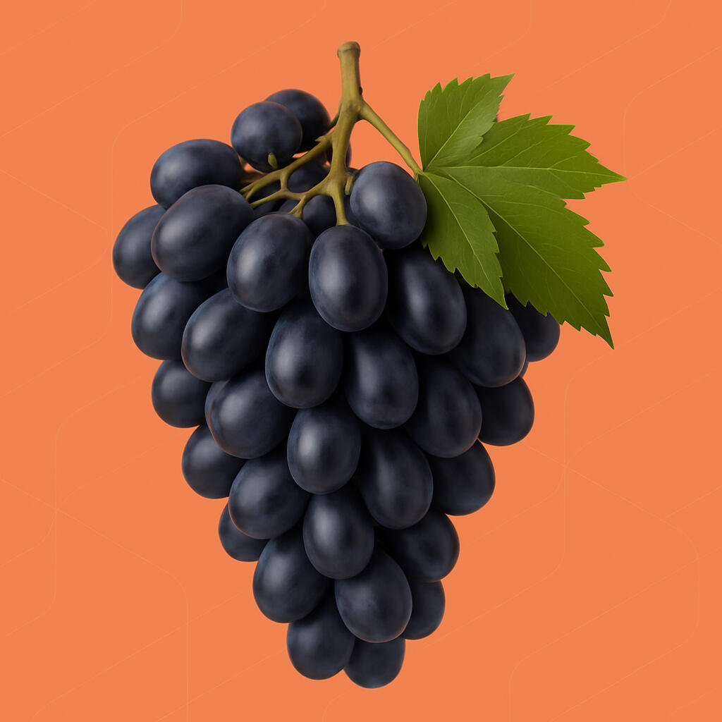 Dried prunes from Moldova in bulk ā supplier for EU importers